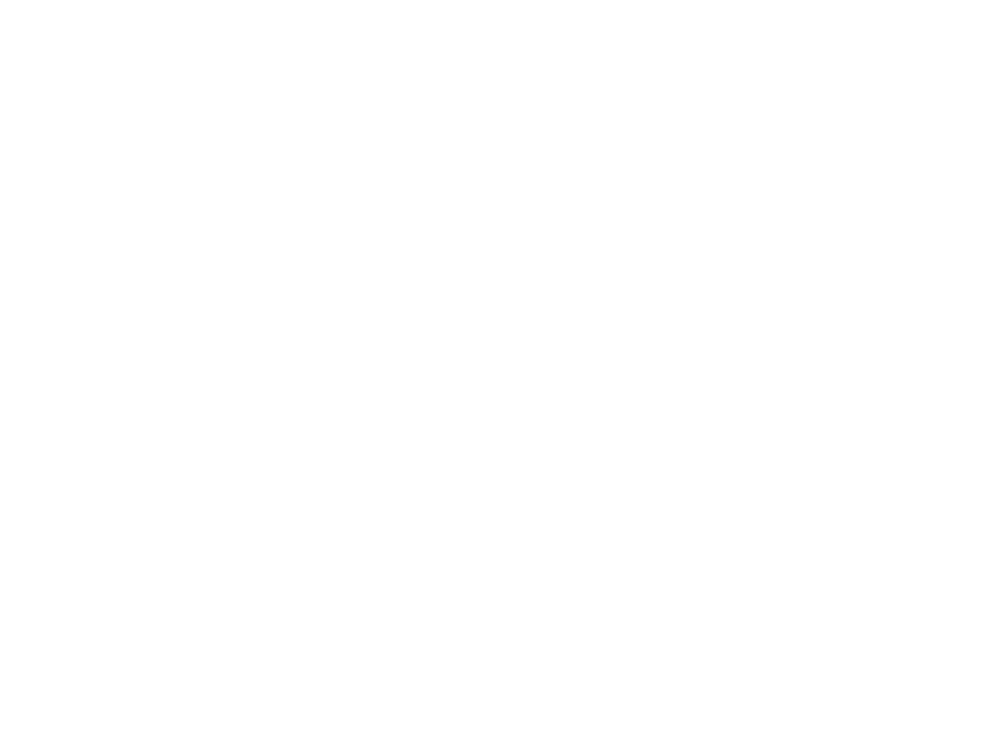 Liga 1 MAX
